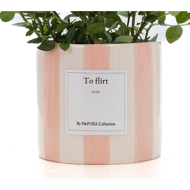 Rosa Lichtroze Cadeau "Om te Flirten" MET WENSKAART! - Ø12cm - ↕30cm