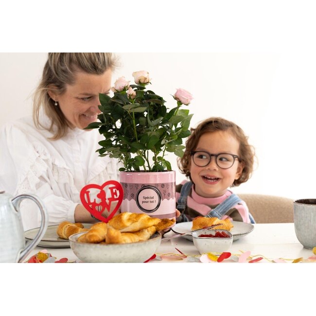 Rosa Light Pink In P&PURE "SPECIAL POUR TOI" Verpakking - Ø12cm - ↕30cm