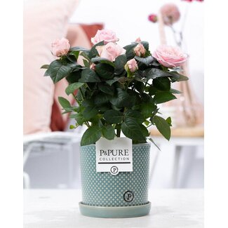 Rosa Lichtroze In P&PURE Lauren Keramiek - Ø12cm - ↕30cm