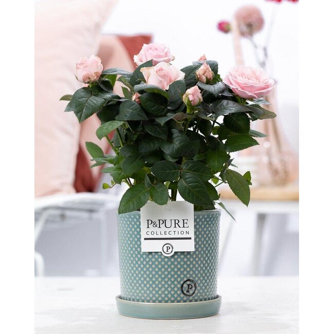 Rosa Lichtroze In P&PURE Lauren Keramiek - Ø12cm - ↕30cm