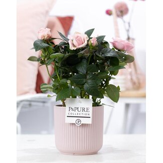 Rosa Lichtroze In P&PURE Sophie Keramiek Roze - Ø12cm - ↕30cm
