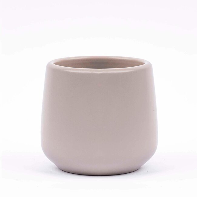 Mini plantenset 6 - Inclusief 6x pot Joey grijs mat