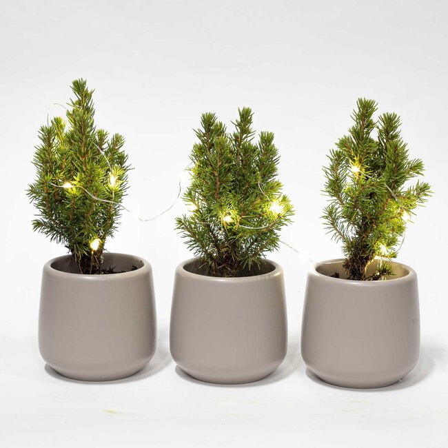 Mini kerstboomset 3 - Inclusief 3x pot Joey grijs + 20 ledlampjes