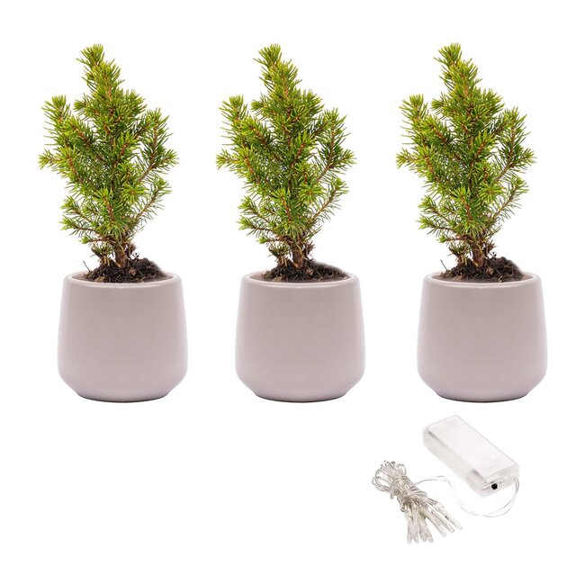 Mini kerstboomset 3 - Inclusief 3x pot Joey grijs + 20 ledlampjes