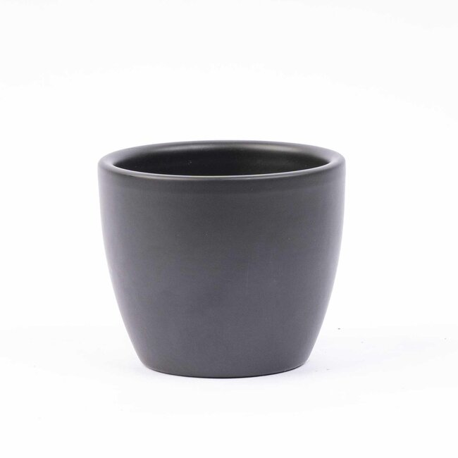 Mini plantenset 6 - Inclusief 6x pot Boule Antraciet