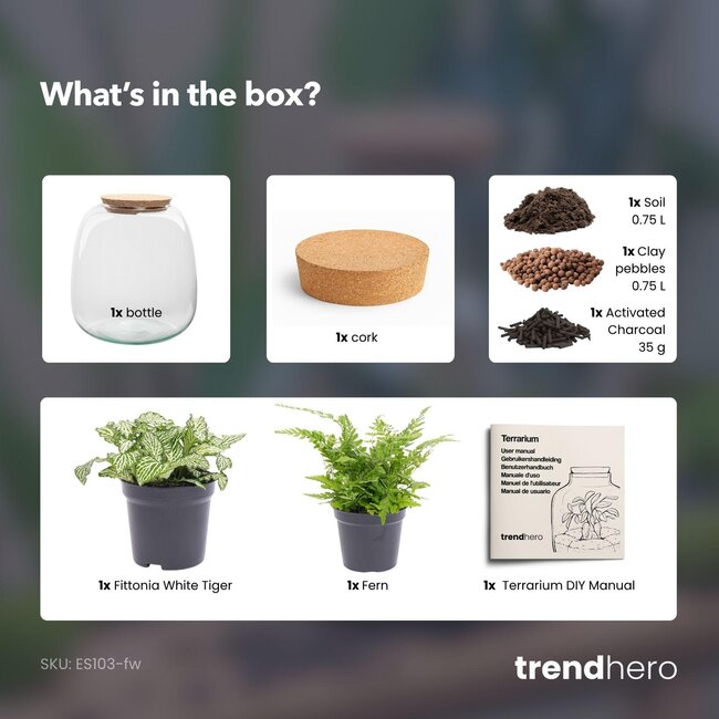 Planten terrarium - Emma Mini - bouwpakket - ↑ 20 cm - Ø 19 cm - Fittonia Witte Tijger