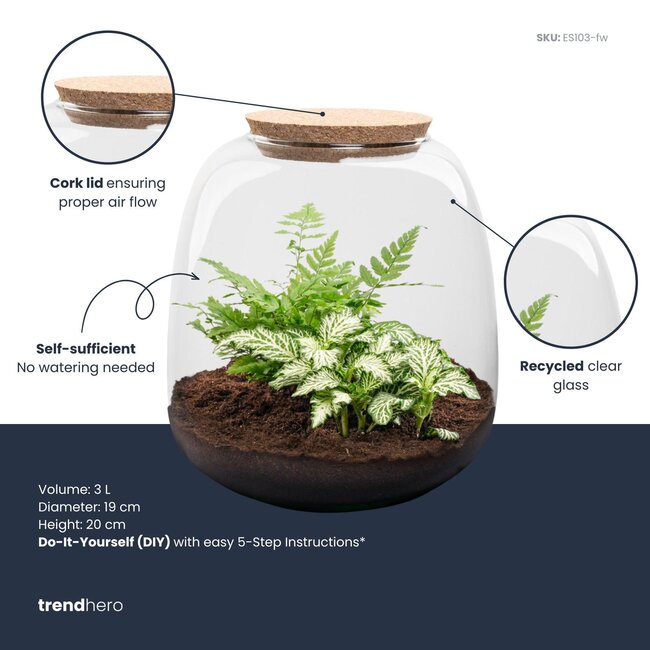 Planten terrarium - Emma Mini - bouwpakket - ↑ 20 cm - Ø 19 cm - Fittonia Witte Tijger