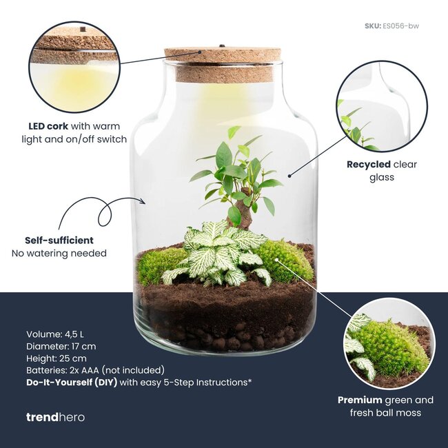 DIY Planten terrarium met licht - Kleine Melkachtige Bonsai - Ø 17 cm ↑ 25 cm