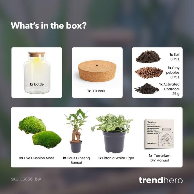 DIY Planten terrarium met licht - Kleine Melkachtige Bonsai - Ø 17 cm ↑ 25 cm