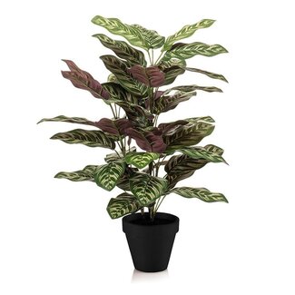 Calathea in pot - 65 cm hoog - Kunstplant