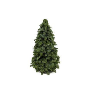 Nobilis Kerstboom - ↕60cm