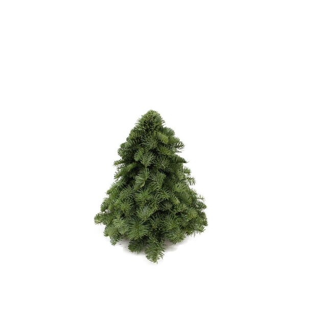 Nobilis Kerstboom - ↕30cm