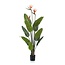 Strelitzia met bloemen - 120cm - In zwarte pot - Kunstplant