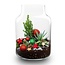 Frosty Kerstmis terrarium - Planten terrarium Bouwpakket Kerst - - Ø 17 cm ↑ 25 cm