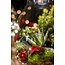 Frosty Kerstmis terrarium - Planten terrarium Bouwpakket Kerst - - Ø 17 cm ↑ 25 cm