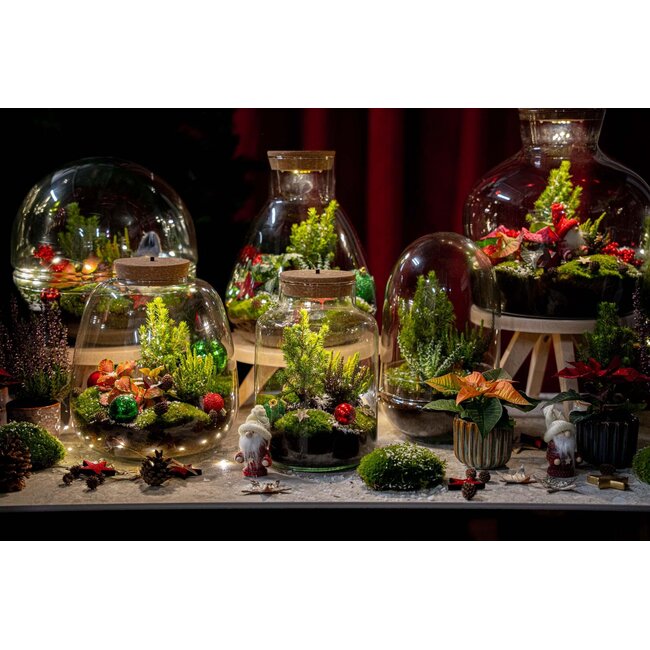 Frosty Kerstmis terrarium - Planten terrarium Bouwpakket Kerst - - Ø 17 cm ↑ 25 cm