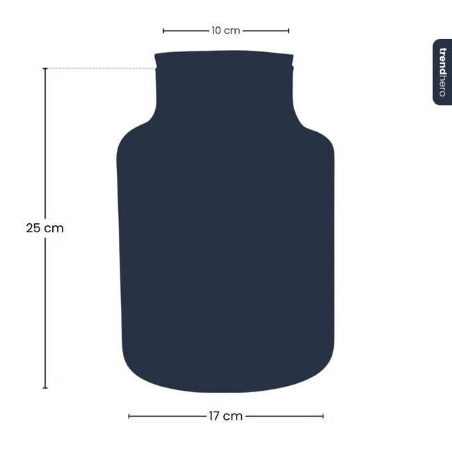 Frosty Kerstmis terrarium - Planten terrarium Bouwpakket Kerst - - Ø 17 cm ↑ 25 cm