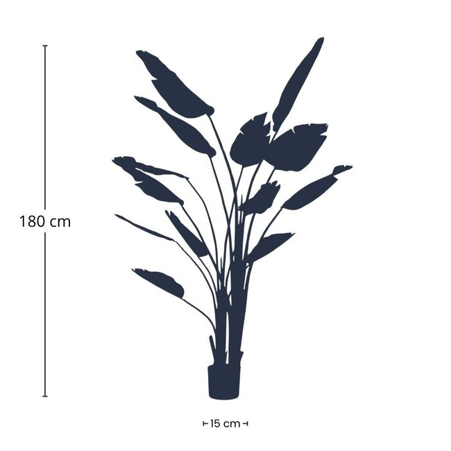 Strelitzia nicolai - 180 cm - In zwarte pot - Kunstplant