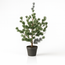 Dennenboom (Cedar Pine) 80 cm – Kunstplant in pot