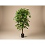 Ficus Deluxe Vine Kunstboom - 140 cm - Kunstplant