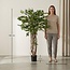 Ficus Liana Kunstboom 140cm - Kunstplant - Kunstplant