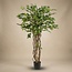 Ficus Liana Kunstboom 140cm - Kunstplant - Kunstplant