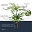 Palm Phoenix 90cm - Kunstplant - Kunstmatige plant
