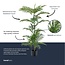 Palm Phoenix 120 cm - Kunstplant