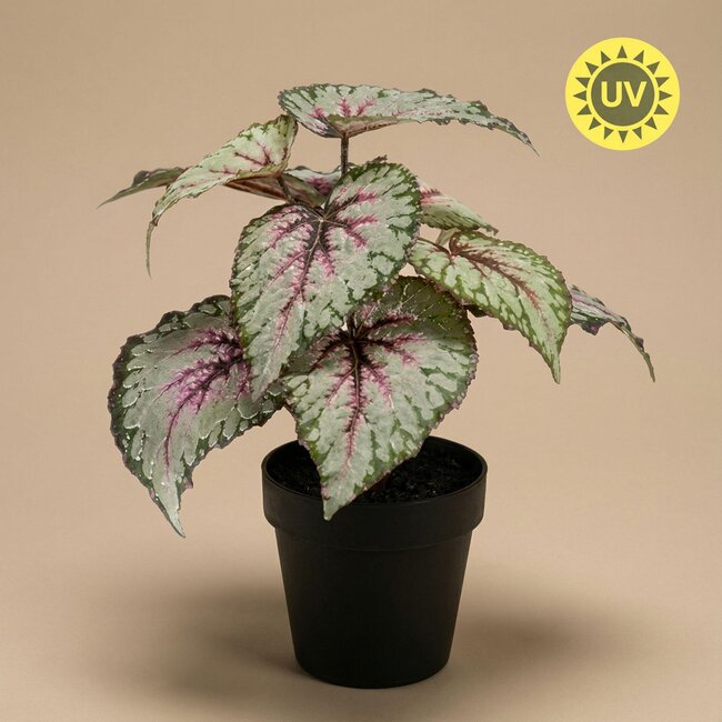 Begonia - 26 cm in pot - Kunstplant - UV-bestendig - Binnen & Buiten