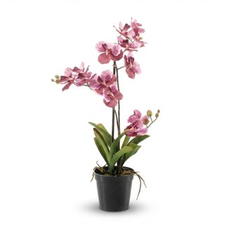 Orchidee Vanda kunstplant 60 cm - Oudroze - In pot - Kunstplant
