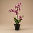 Orchidee Vanda kunstplant 60 cm - Oudroze - In pot - Kunstplant