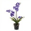 Orchidee Vanda kunstplant 60 cm - Paars - In pot - Kunstplant