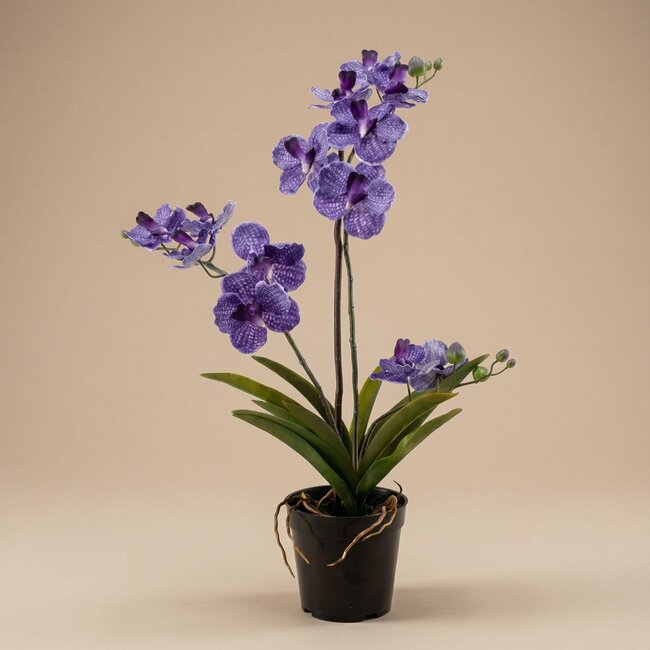 Orchidee Vanda kunstplant 60 cm - Paars - In pot - Kunstplant