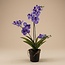 Orchidee Vanda kunstplant 60 cm - Paars - In pot - Kunstplant