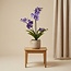 Orchidee Vanda kunstplant 60 cm - Paars - In pot - Kunstplant