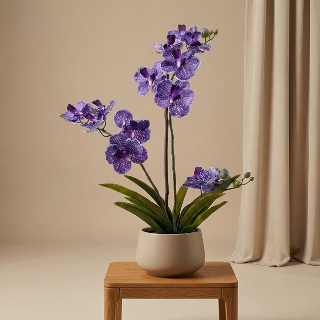Orchidee Vanda kunstplant 60 cm - Paars - In pot - Kunstplant