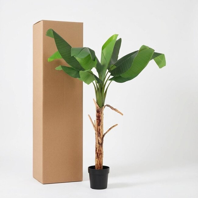 ARTIFICIAL Bananenplant Musa - 150cm