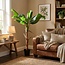 ARTIFICIAL Bananenplant Musa - 150cm