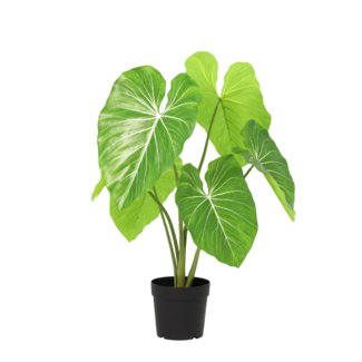 ARTIFICIAL Philodendron - 100cm