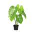 ARTIFICIAL Philodendron - 100cm