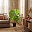 ARTIFICIAL Philodendron - 100cm