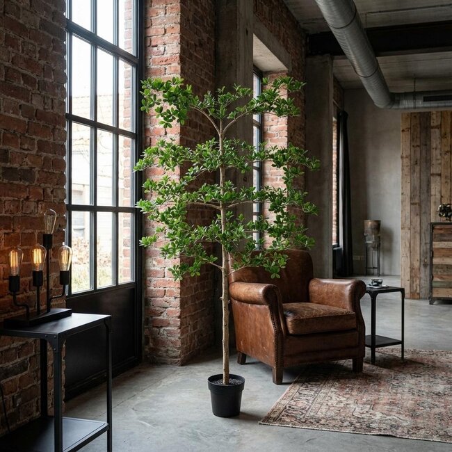 ARTIFICIAL Bucida - 200cm