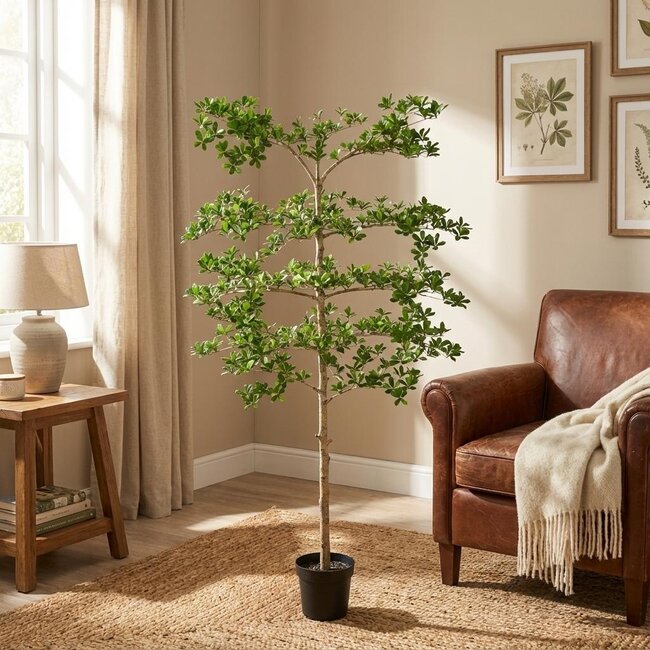 ARTIFICIAL Bucida - 200cm