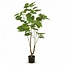 Ficus parapluboom 125 cm - Kunstplant - Artificial plant