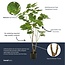 Ficus parapluboom 125 cm - Kunstplant - Artificial plant