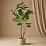 Ficus parapluboom 125 cm - Kunstplant - Artificial plant