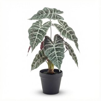 Alocasia struik in pot 40 cm - Kunstplant - Artificial plant