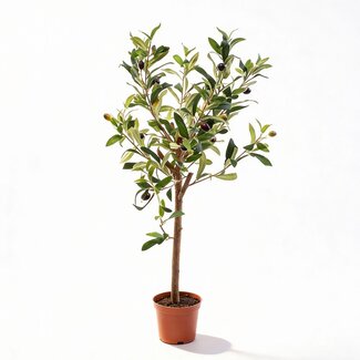 Olijfboom in pot 65cm – Kunstplant - Kunstplant