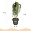 Groene boutiQ - Plant op Stam - Rosmarinus officinalis Prostratus - Terrasplant - Bladhoudend - Winterhard -Paarse Bloem - Pot 19cm Hoogte 90cm