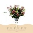 1x - Terrasplant - Skimmia japonica Festival - Bloem Wit & Rood - 15+ Bloemen - 1 Plant - Winterhard - Pot 15cm Hoogte 30cm